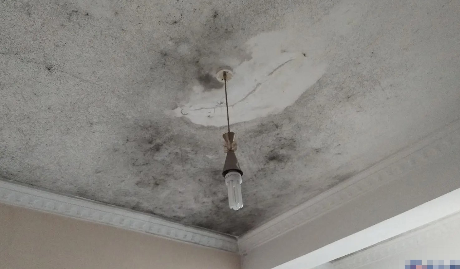楼房漏水怎样补漏