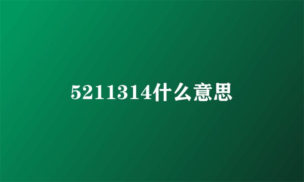 5211314什么意思