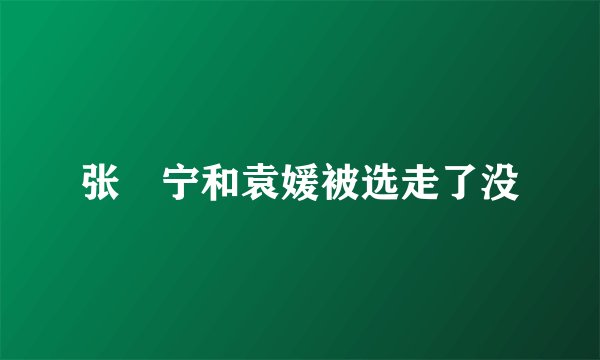 张奀宁和袁媛被选走了没