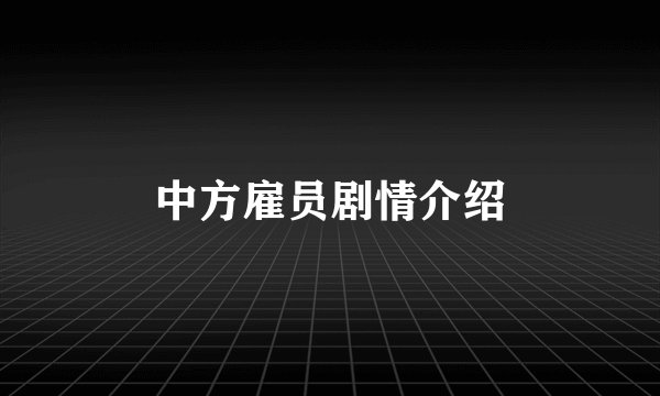 中方雇员剧情介绍
