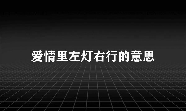 爱情里左灯右行的意思