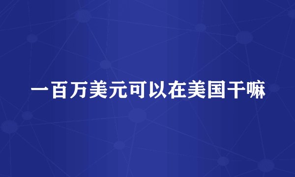 一百万美元可以在美国干嘛
