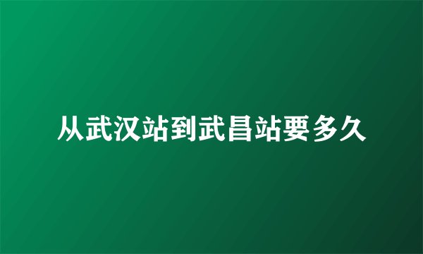 从武汉站到武昌站要多久