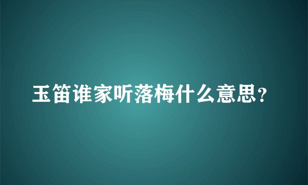 玉笛谁家听落梅什么意思？