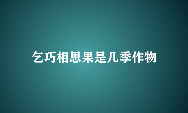 乞巧相思果是几季作物