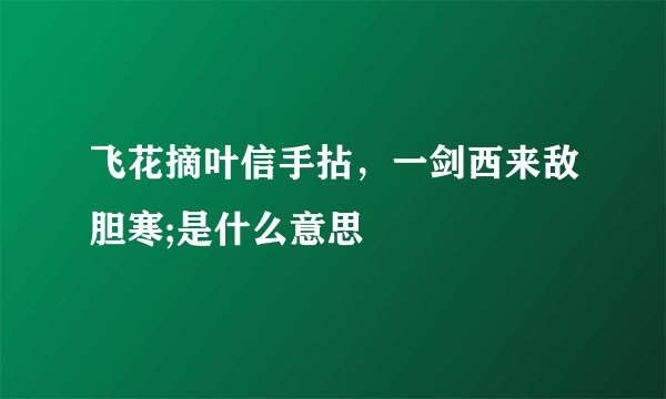 飞花摘叶信手拈，一剑西来敌胆寒;是什么意思