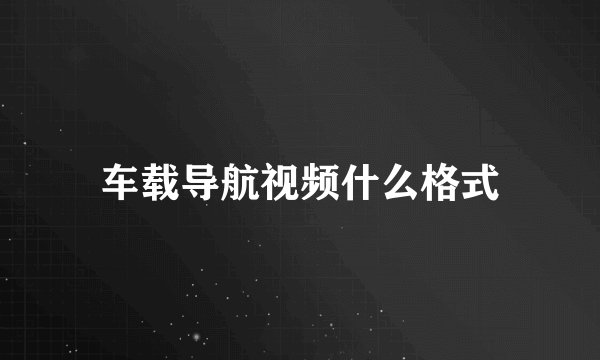 车载导航视频什么格式
