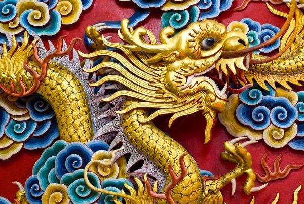 归心如飞是什么生肖动物