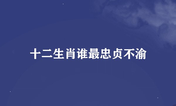 十二生肖谁最忠贞不渝