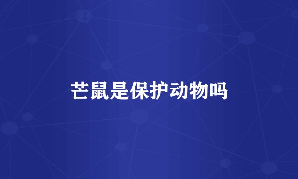 芒鼠是保护动物吗