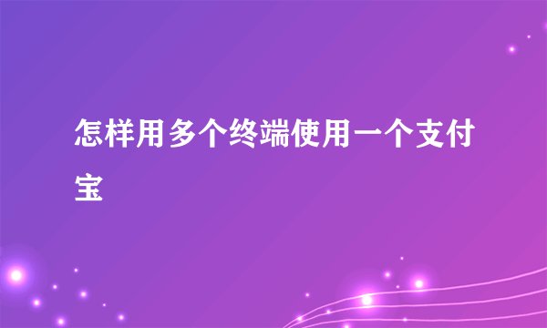怎样用多个终端使用一个支付宝