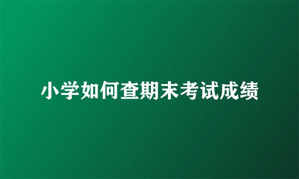 小学如何查期末考试成绩