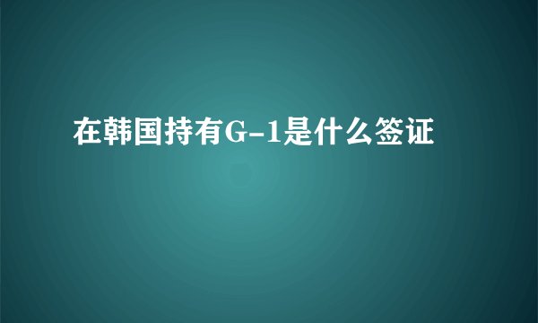 在韩国持有G-1是什么签证