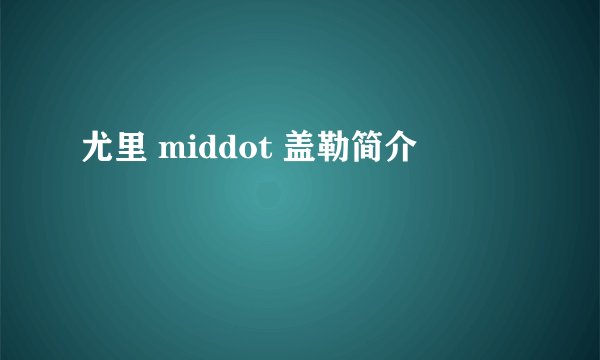尤里 middot 盖勒简介