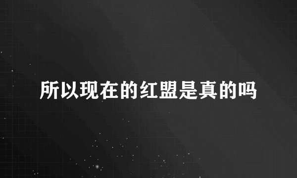 所以现在的红盟是真的吗