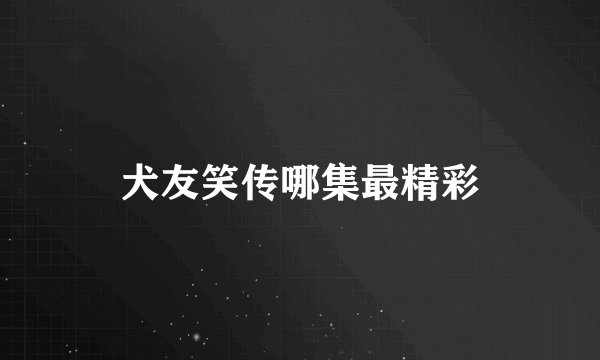 犬友笑传哪集最精彩