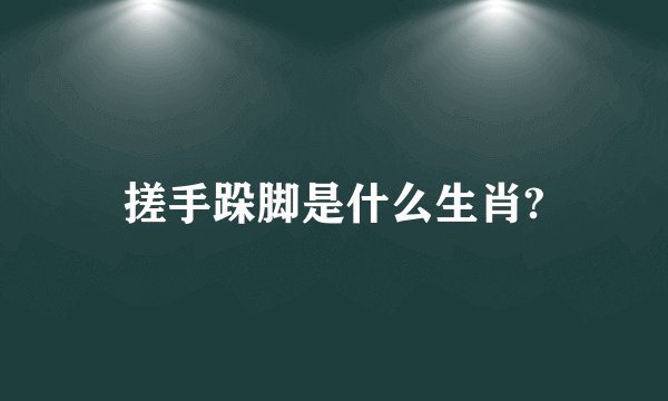 搓手跺脚是什么生肖?