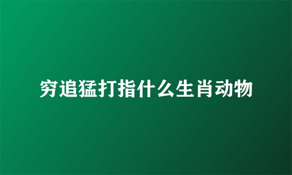 穷追猛打指什么生肖动物