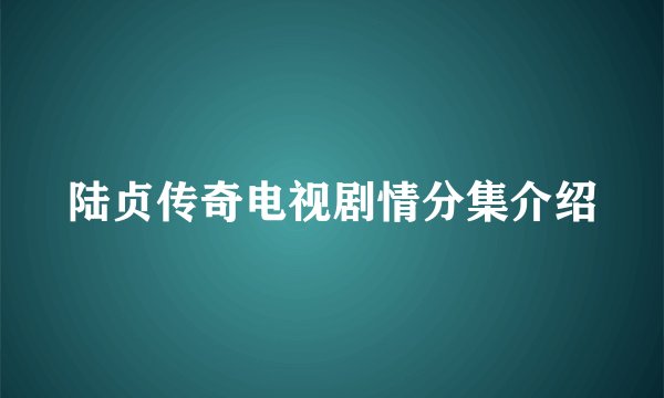 陆贞传奇电视剧情分集介绍