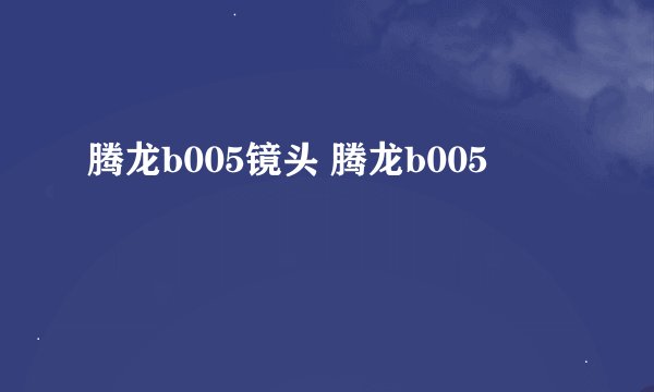 腾龙b005镜头 腾龙b005