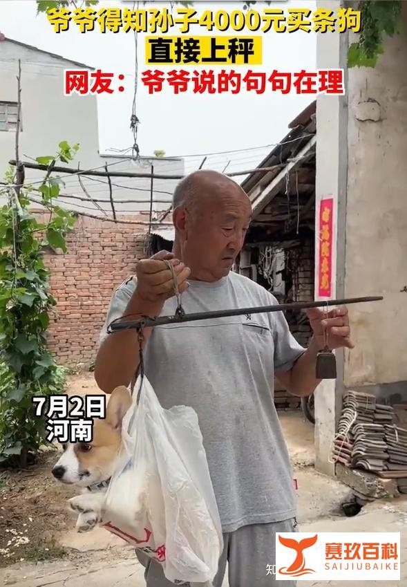 超7成年轻人存款不足10万,钱都浪费在这了