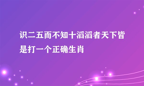 识二五而不知十滔滔者天下皆是打一个正确生肖
