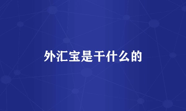 外汇宝是干什么的