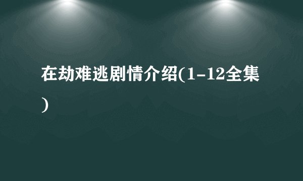 在劫难逃剧情介绍(1-12全集)