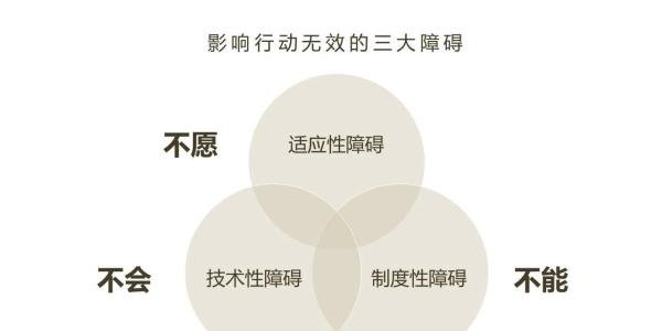 行动学习法是什么