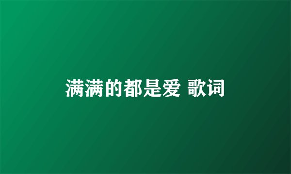 满满的都是爱 歌词
