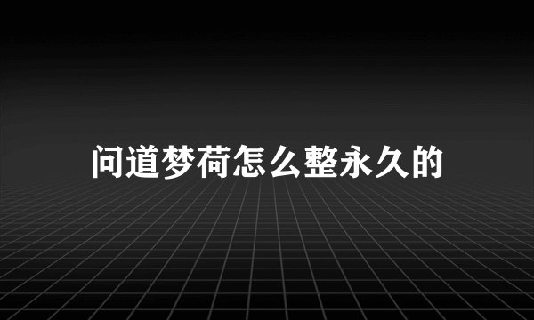 问道梦荷怎么整永久的