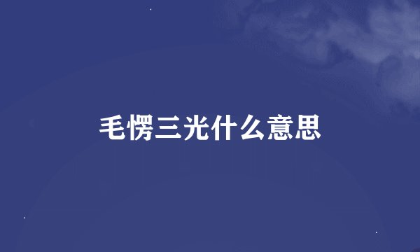 毛愣三光什么意思