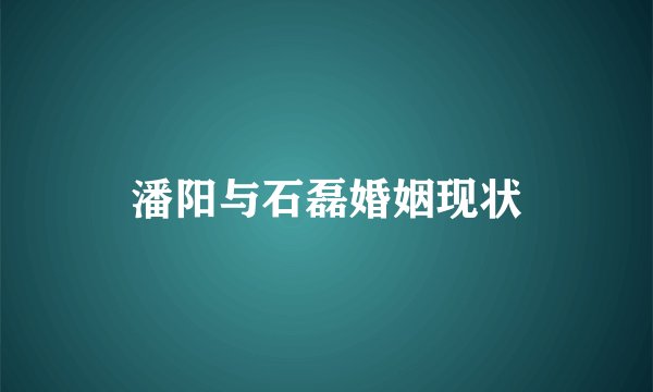 潘阳与石磊婚姻现状