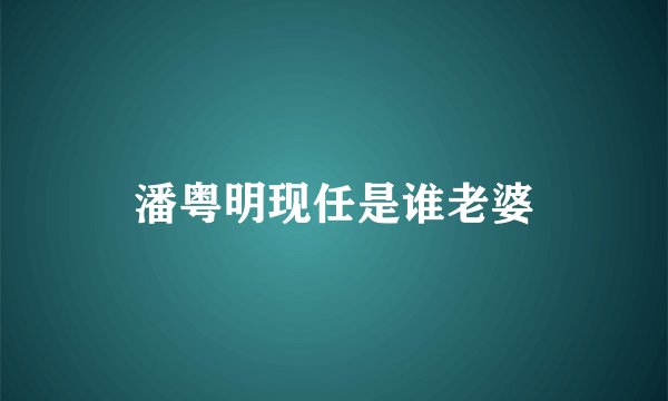 潘粤明现任是谁老婆