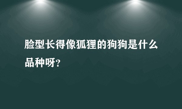 脸型长得像狐狸的狗狗是什么品种呀？