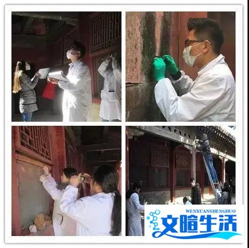 手写129页,堪比打印!这份毕业论文刷屏了