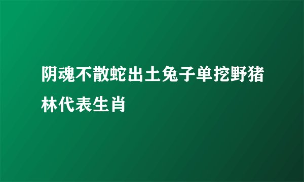 阴魂不散蛇出土兔子单挖野猪林代表生肖