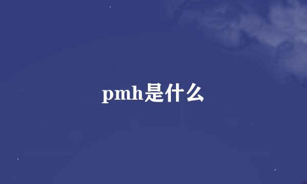 pmh是什么