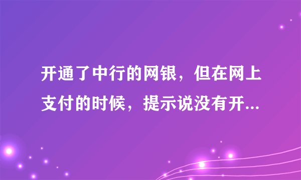 开通了中行的网银，但在网上支付的时候，提示说没有开通网上支付功能，该怎么处理？