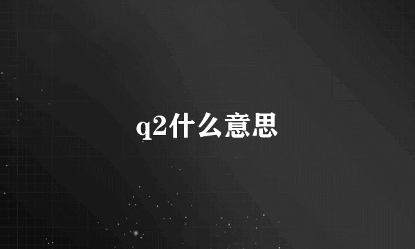 q2什么意思