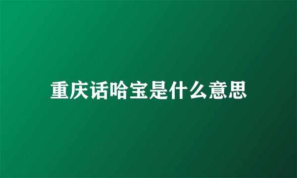 重庆话哈宝是什么意思