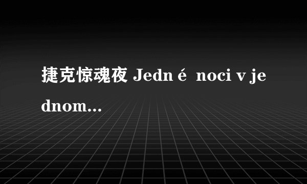 捷克惊魂夜 Jedné noci v jednom meste剧情介绍