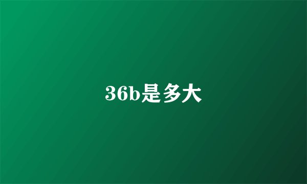 36b是多大
