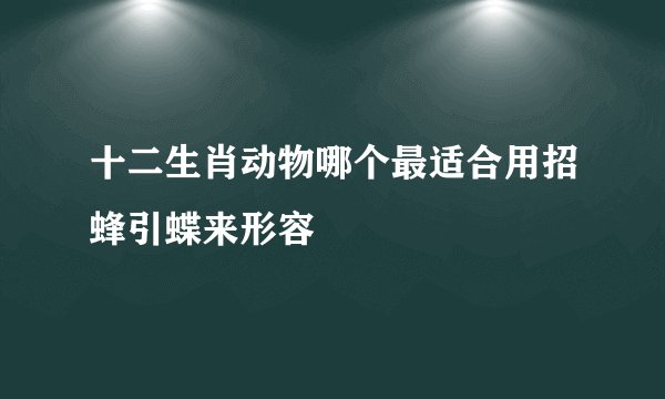 十二生肖动物哪个最适合用招蜂引蝶来形容