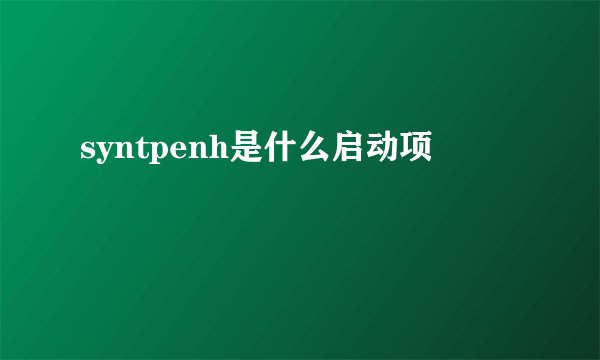 syntpenh是什么启动项