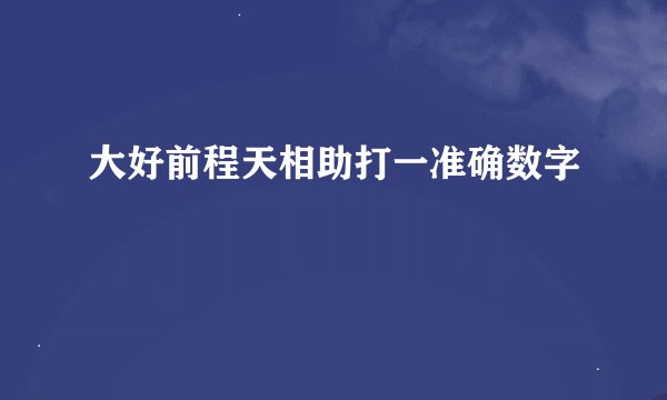 大好前程天相助打一准确数字