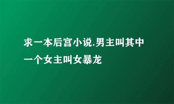 求一本后宫小说.男主叫其中一个女主叫女暴龙