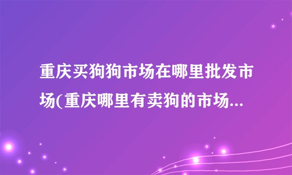 重庆买狗狗市场在哪里批发市场(重庆哪里有卖狗的市场在哪里)