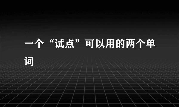 一个“试点”可以用的两个单词