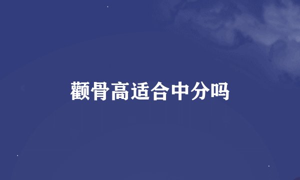 颧骨高适合中分吗